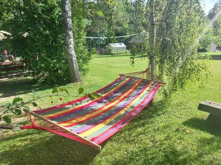Dom Goscinny Efka Kościelisko Exteriör bild